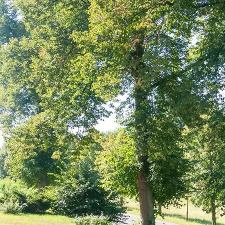 In Radekow 3 Mescherin